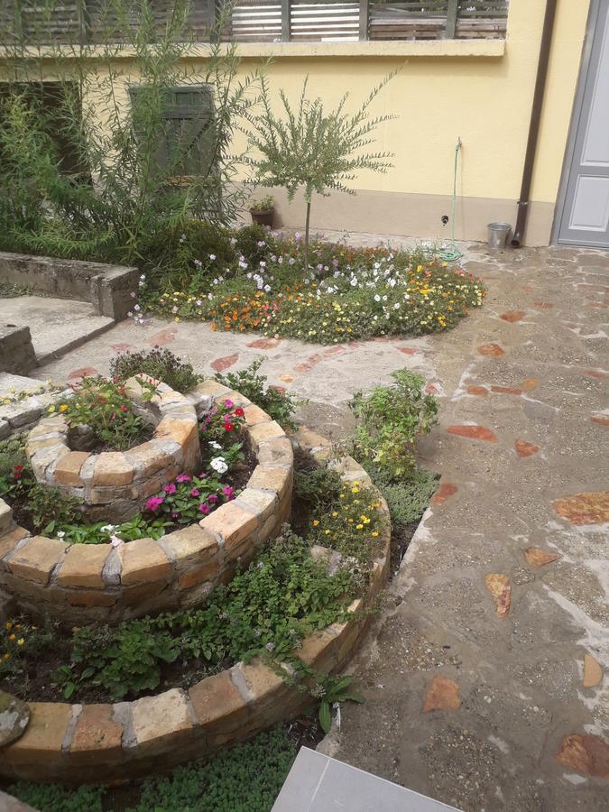 Mosaique Casa Διαμέρισμα Βελιγράδι Εξωτερικό φωτογραφία