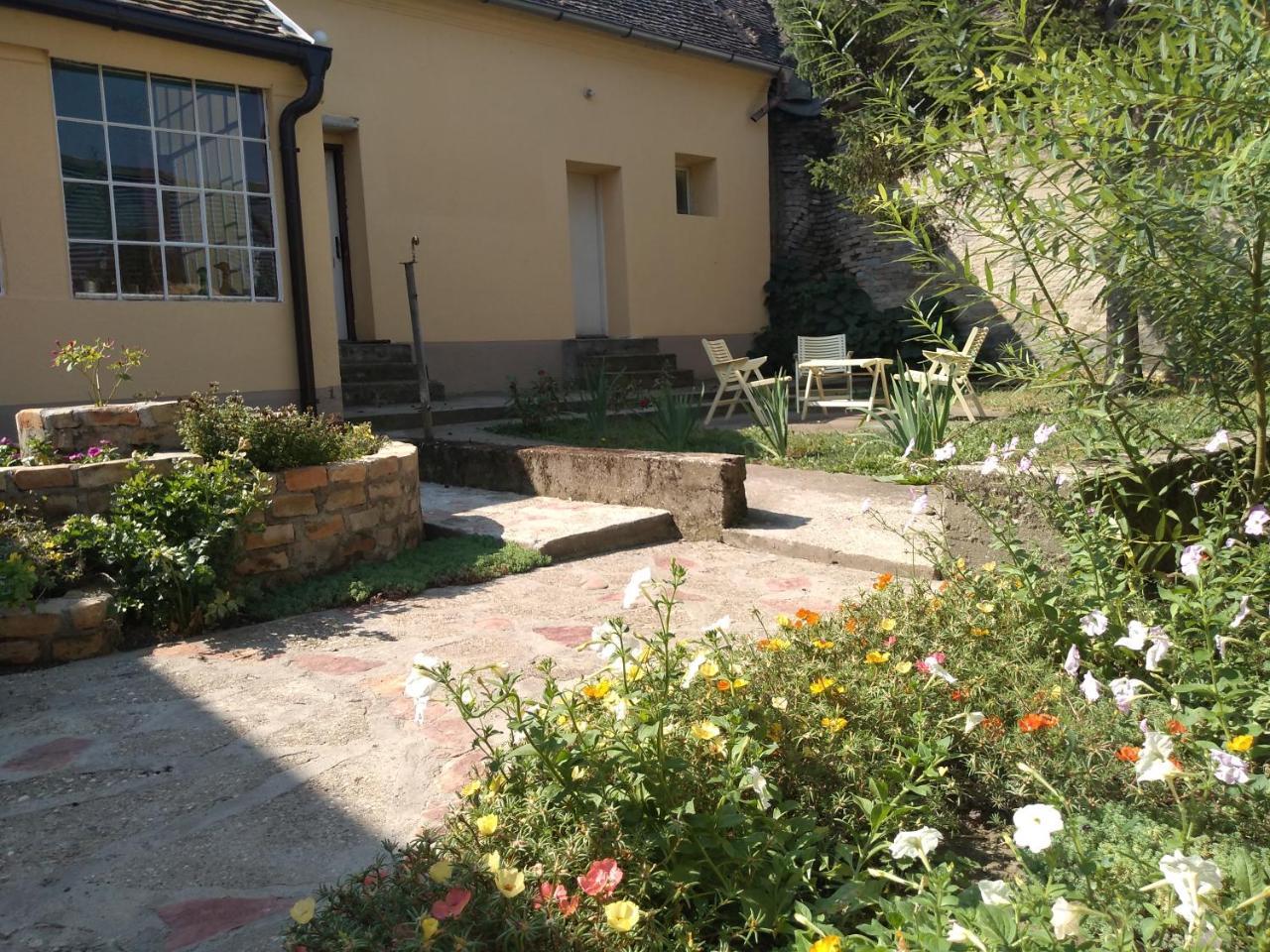 Mosaique Casa Διαμέρισμα Βελιγράδι Εξωτερικό φωτογραφία