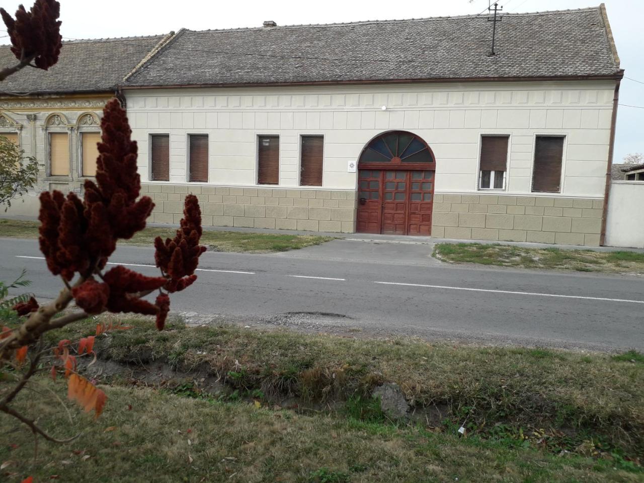 Mosaique Casa Διαμέρισμα Βελιγράδι Εξωτερικό φωτογραφία
